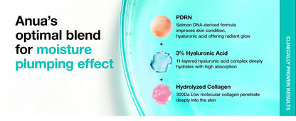 Anua PDRN Hyaluronic Acid Capsule 100 Serum 30ml - Embera Beauty